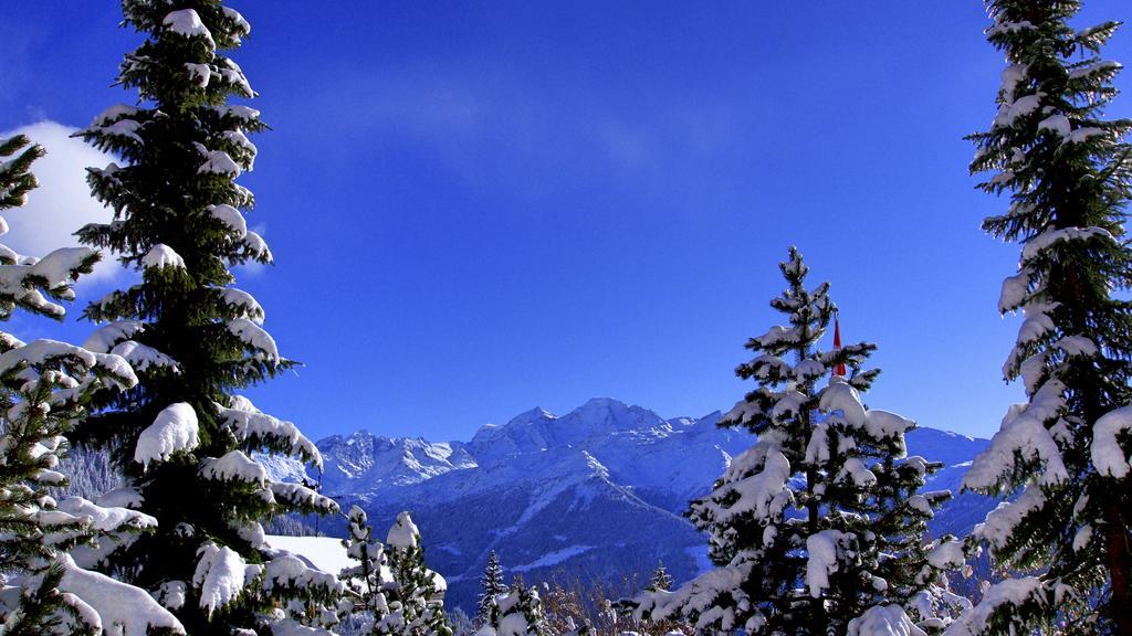 Hotel Montpelier Verbier Dış mekan fotoğraf